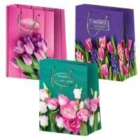 Пакет подарочный бумажный (18х23х10) ламинир Микс 3 дизайна 1/360