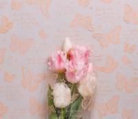 Ролик 70см х8м пленка полипропилен с рисунком Бабочки оранжевый 1/10