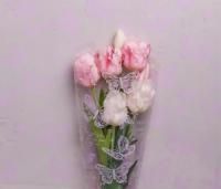 Ролик 70см х8м пленка полипропилен с рисунком Бабочки сиреневый 1/10